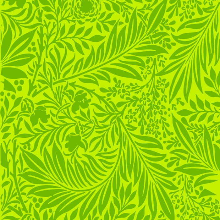 1B 1 Bandana Flora FLUO Proguard